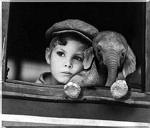 A child with a baby elephant