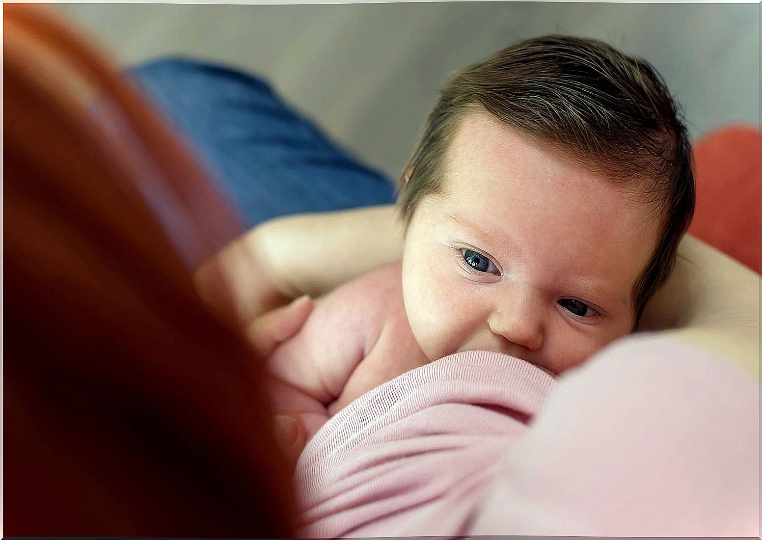 Baby sucks from mother's breast while breastfeeding.