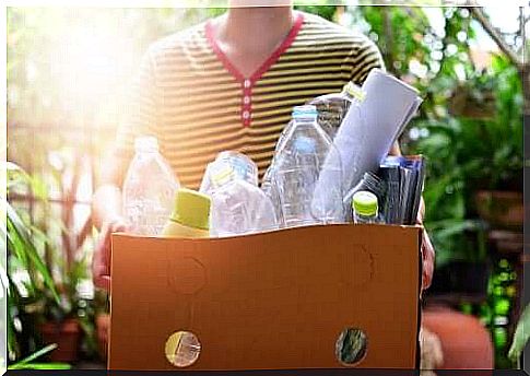 Handicrafts with plastic bottles