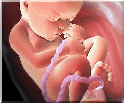 Emotional development from its presence in the mother's womb