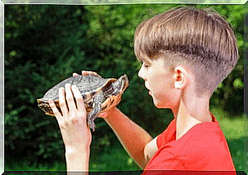 The effects of the turtle technique on self-esteem