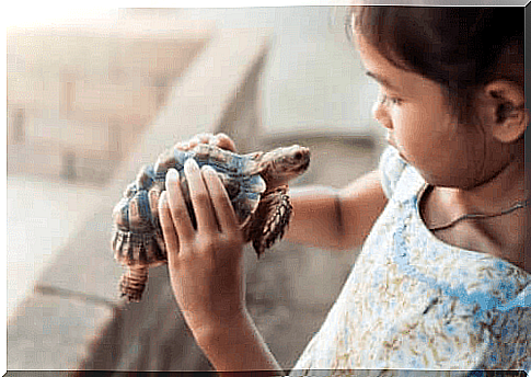 girl with a turtle