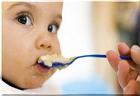 The First Foods You Should Give Your Baby