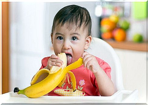 Bananas are a great alternative to include the first foods in the baby's diet.