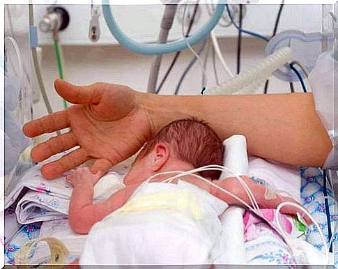 Human warmth for premature babies