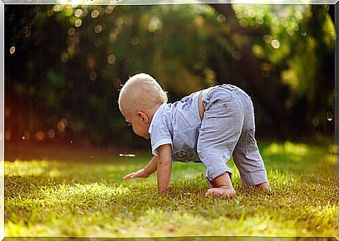 Child crawling in the grass.