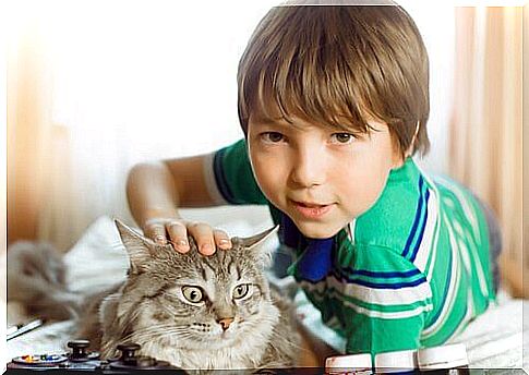 Why do children love animals so much?  because they are playful and affectionate.