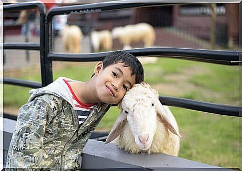 Why do children love animals so much?  Because they are accomplices and protectors.